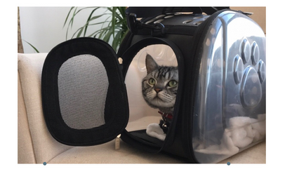 Transparent Pet Backpack for Cats and Dogs