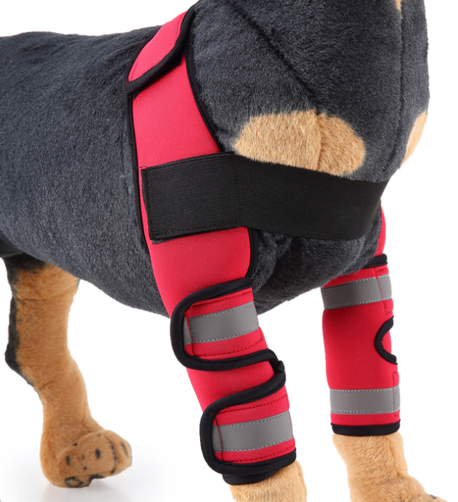 Dog Knee Brace and Leg Protector for Injury Recovery