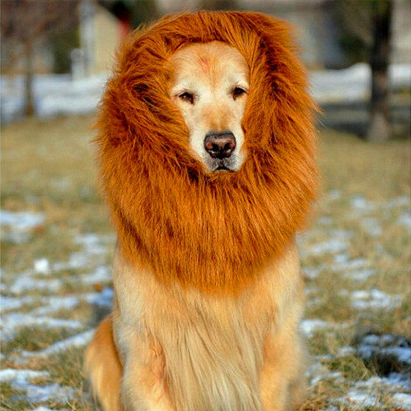 Pet Wig - Lion Head Costume for Dogs
