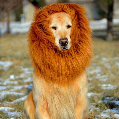 Pet Wig - Lion Head Costume for Dogs