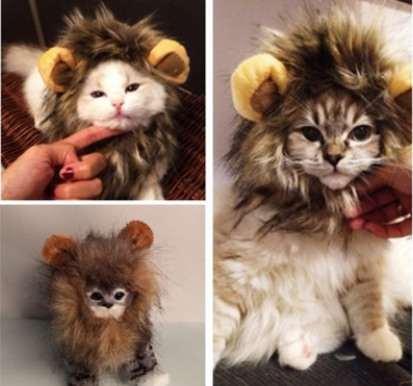 Funny Lion Mane Hat for Cats and Kittens