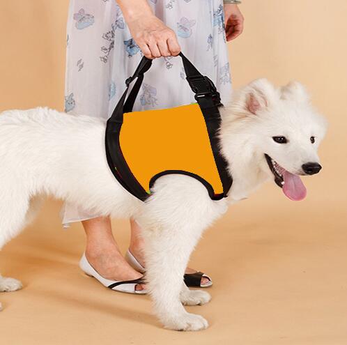 Elderly Dog Hind Leg Assist Belt for Pet Support