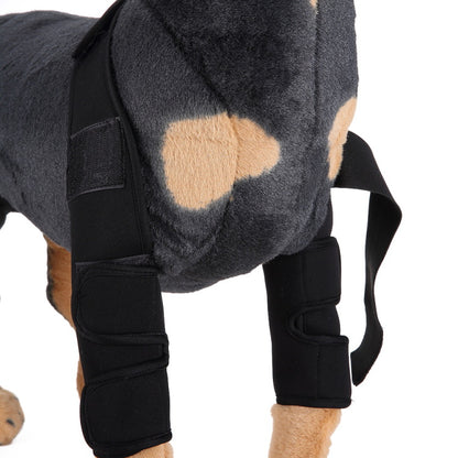 Dog Knee Brace and Leg Protector for Injury Recovery