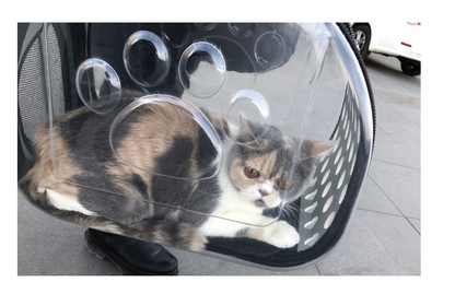 Transparent Pet Backpack for Cats and Dogs